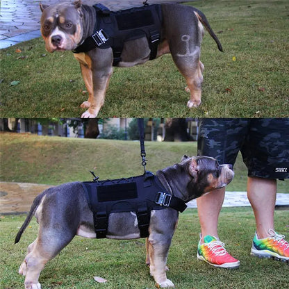 Tactical Dog Harness v2